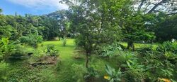 Seletar Garden (D28), Terrace #559733641